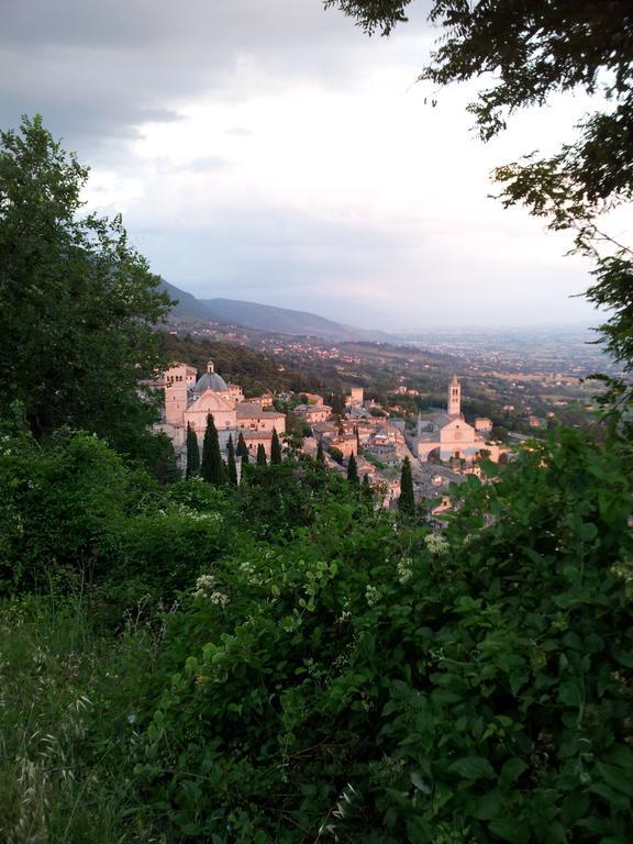 La Corte Degli Angeli Locazioni Turistiche Assisi Exteriör bild